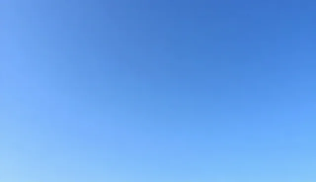 域名管理服务的性能与适用条件分析